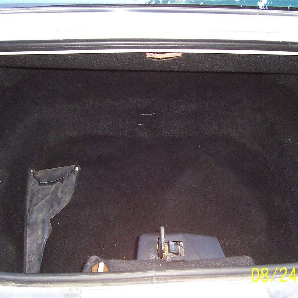 Trunk Interior liner