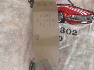 Seat Belt Buckles